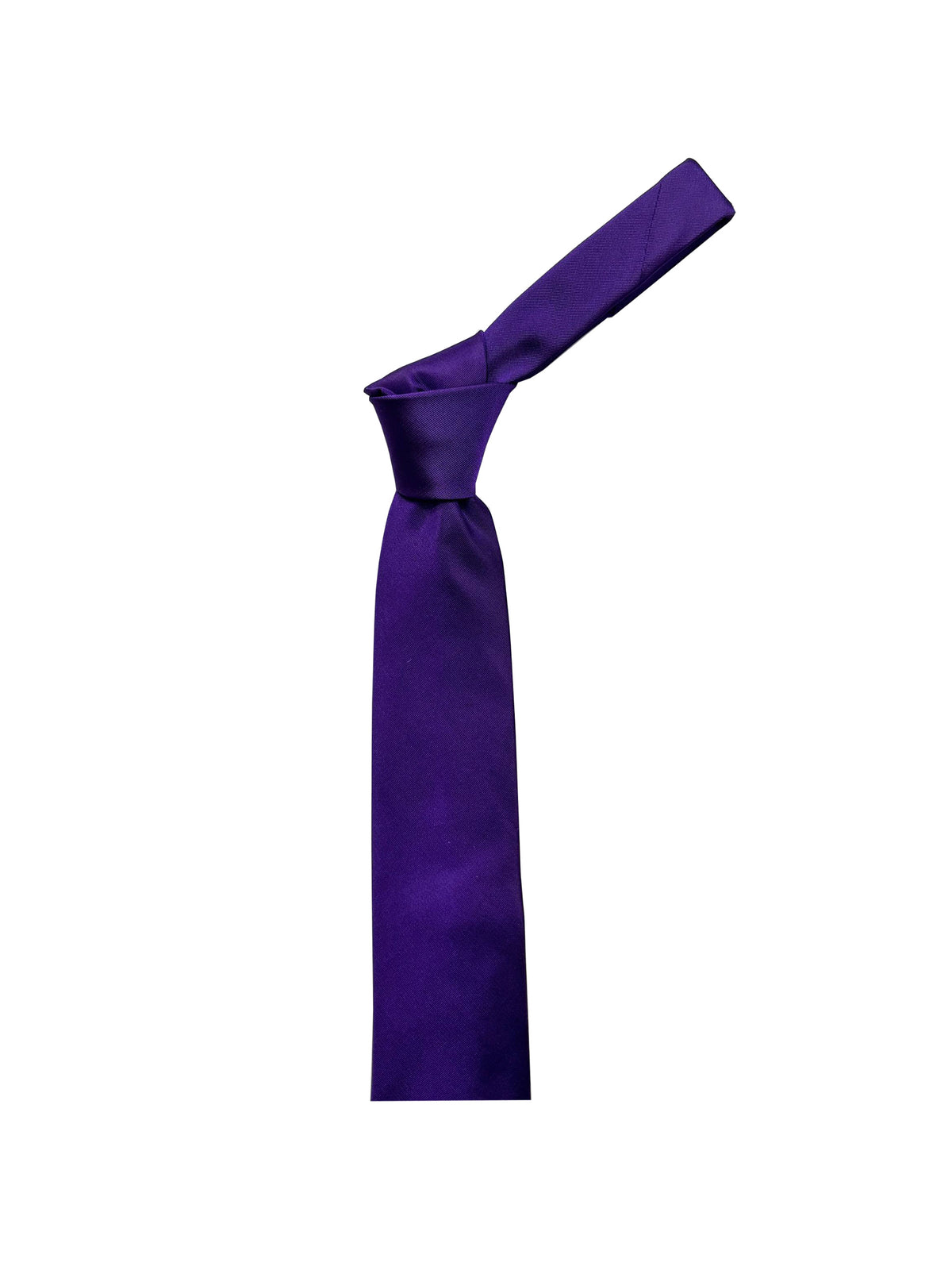 Camicissima Men's 100% Silk Tie - PURPLE