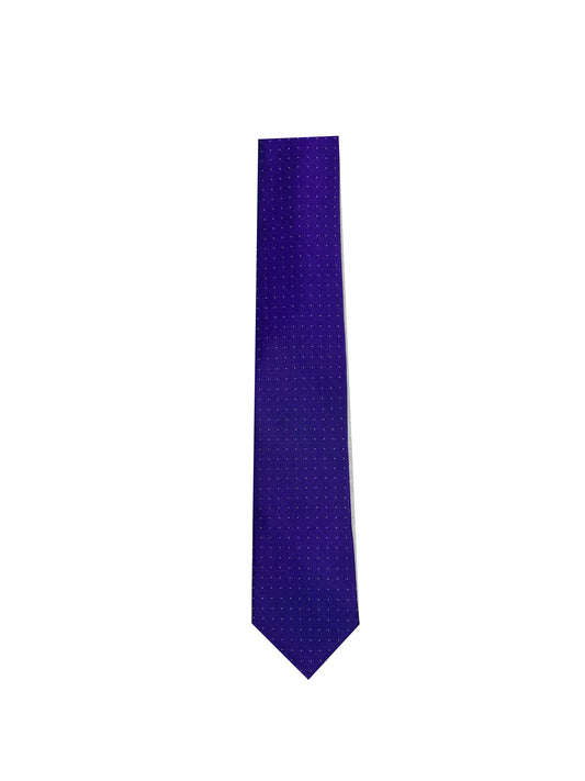 Camicissima Men's 100% Silk Tie - PURPLE