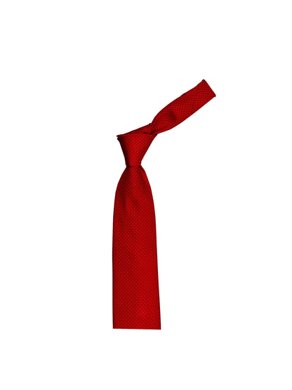 Camicissima Men's 100% Silk Tie - RED