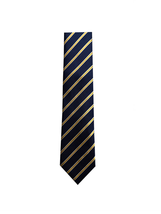 Camicissima Men's 100% Silk Tie - BLUE NAVY