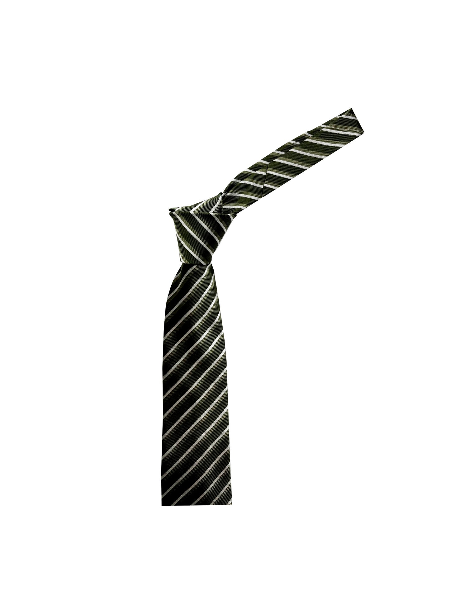 Camicissima Men's 100% Silk Tie - GREEN