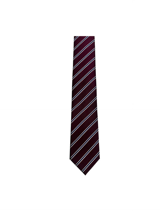 Camicissima Men's 100% Silk Tie - BORDEAUX