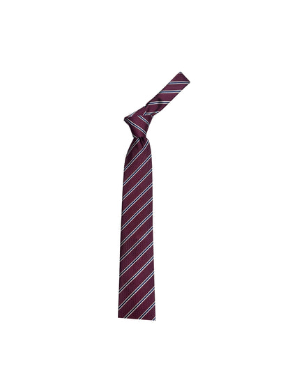 Camicissima Men's 100% Silk Tie - BORDEAUX