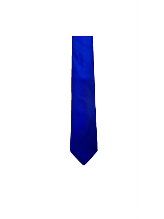 Camicissima Men's 100% Silk Tie - EL. BLUE