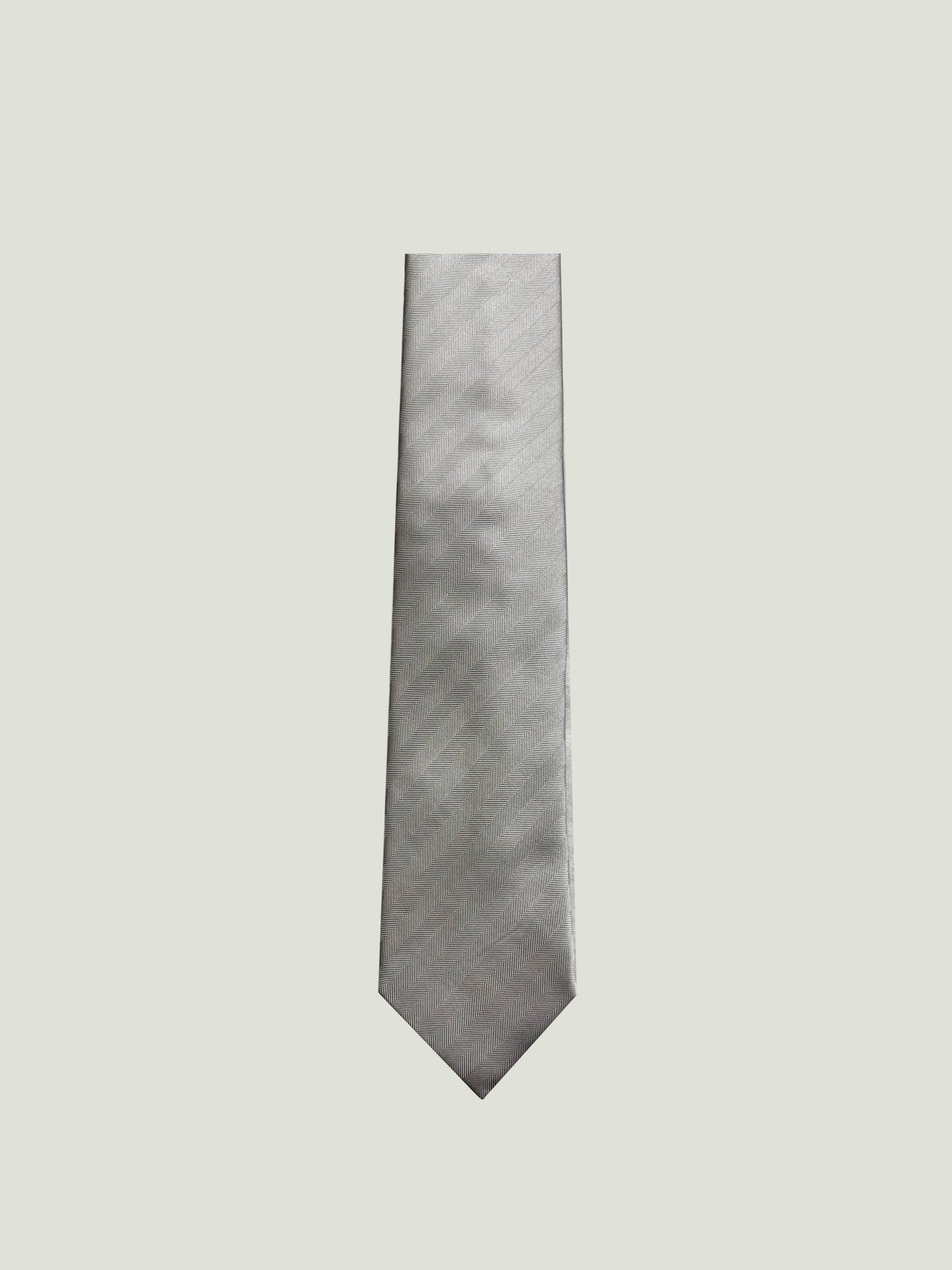 Camicissima Men's 100% Silk Tie - GREY