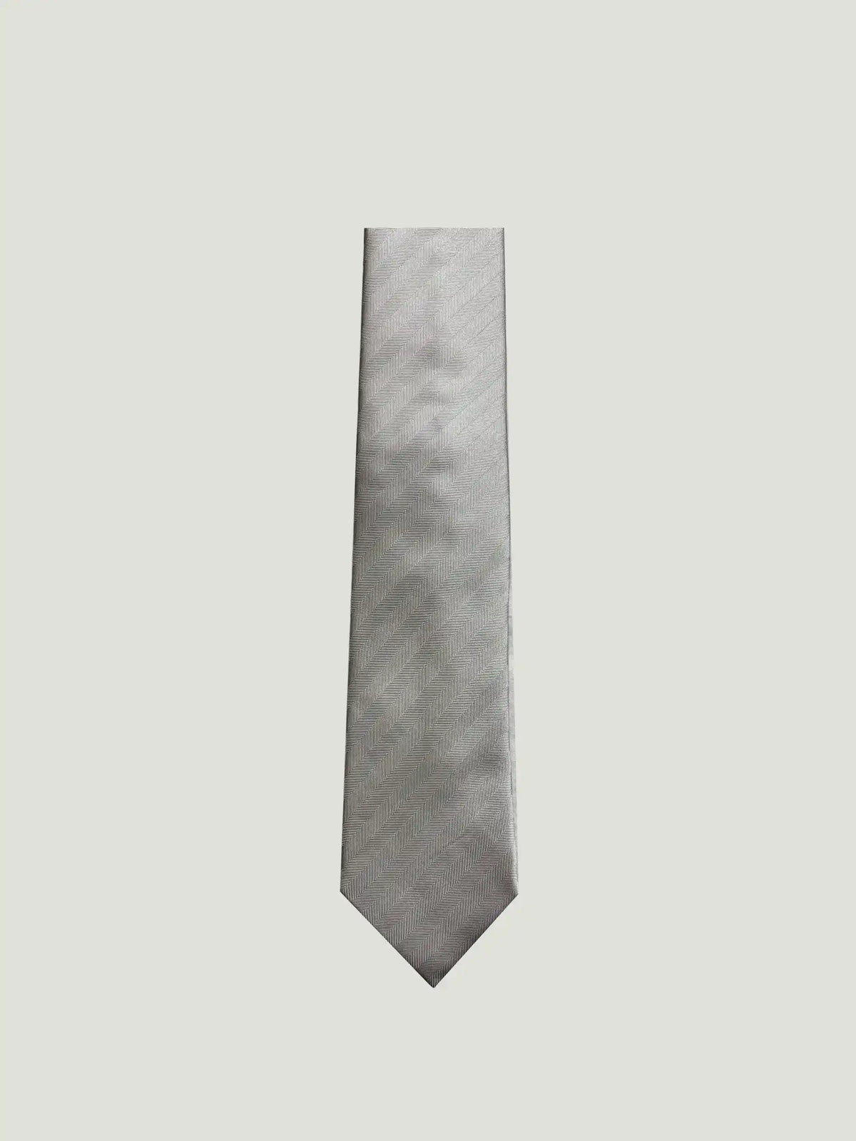 Camicissima Men's 100% Silk Tie - GREY