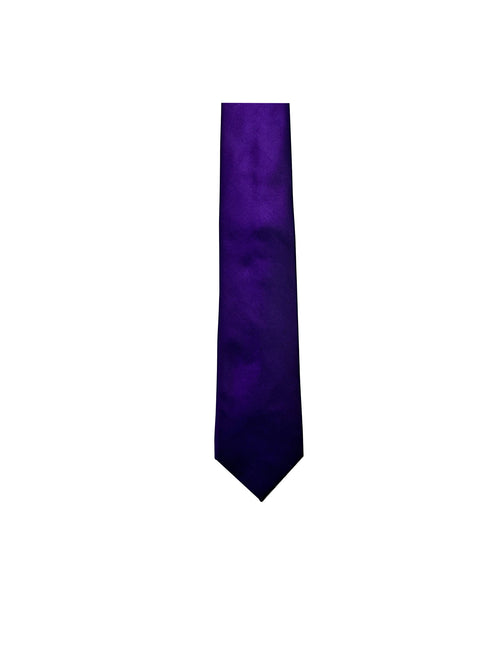 Camicissima Men's 100% Silk Tie - PURPLE