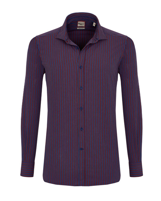 Trendy Statement Bordeaux Striped Poplin Shirt