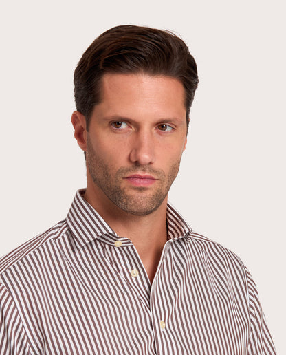Camicissima Brown Striped Dobby Wrinkle-Free Fancy Cotton Shirt