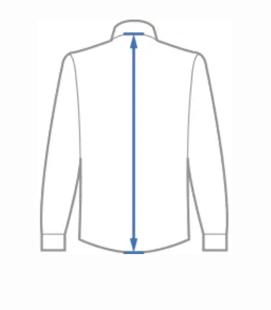 How to measure body length